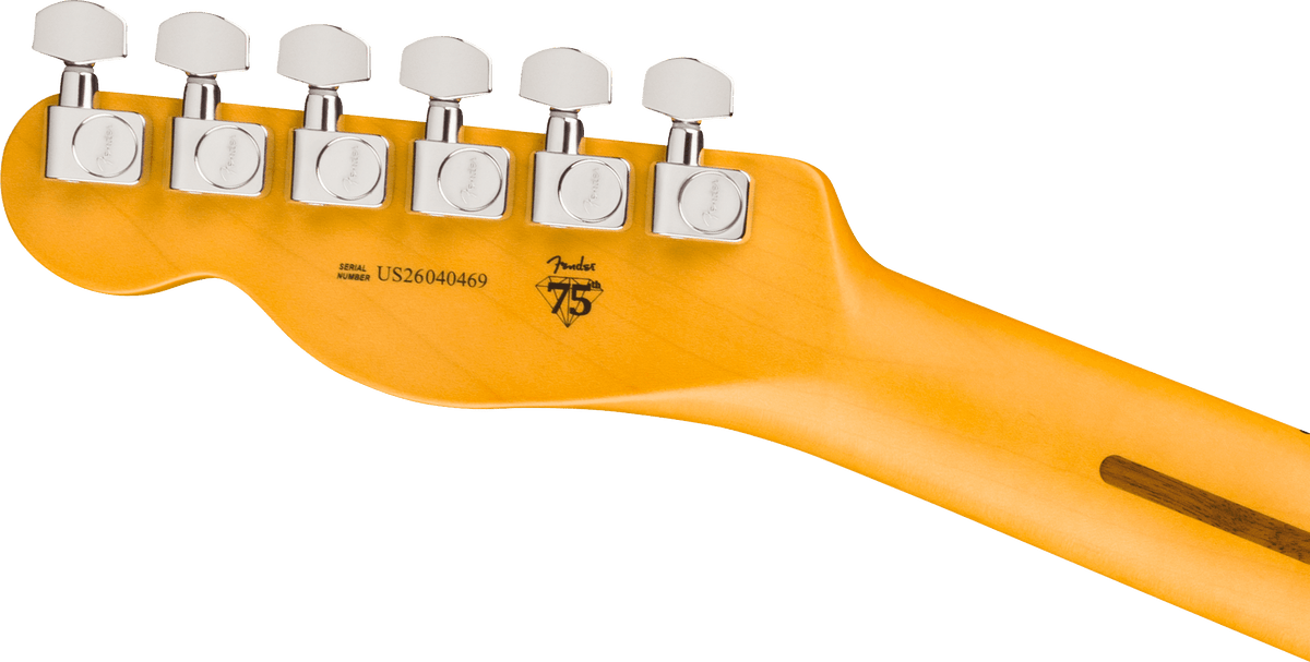 Fender American Professional Telecaster, Maple Fingerboard in Aged Cherry Burst