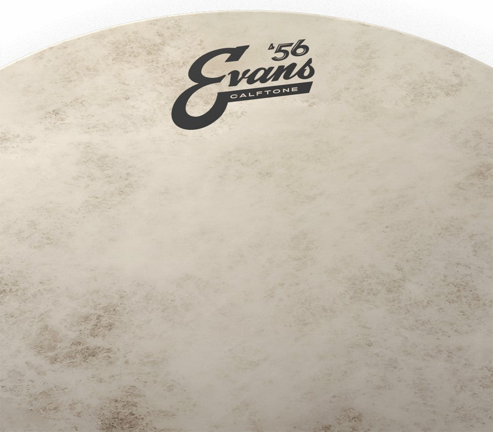 Evans Calftone 15" Tom Drum Head