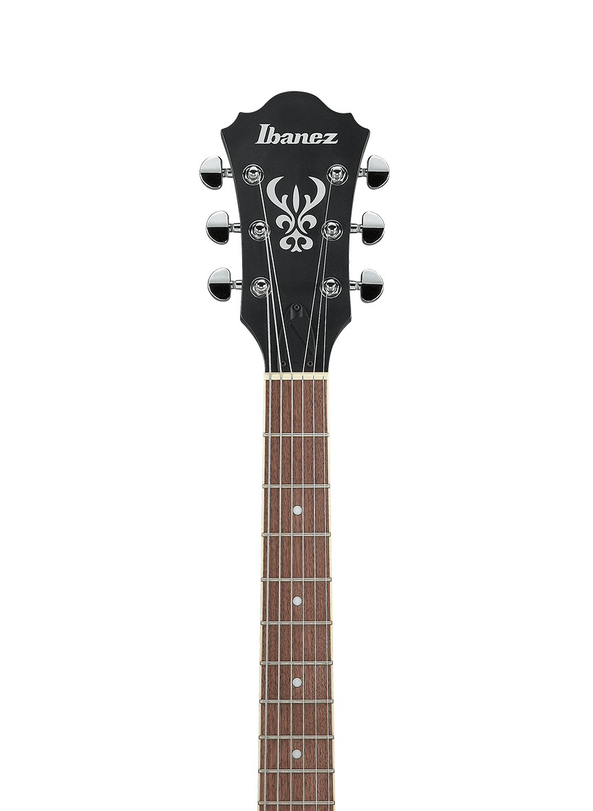 Ibanez AS53 in Transparent Black Flat