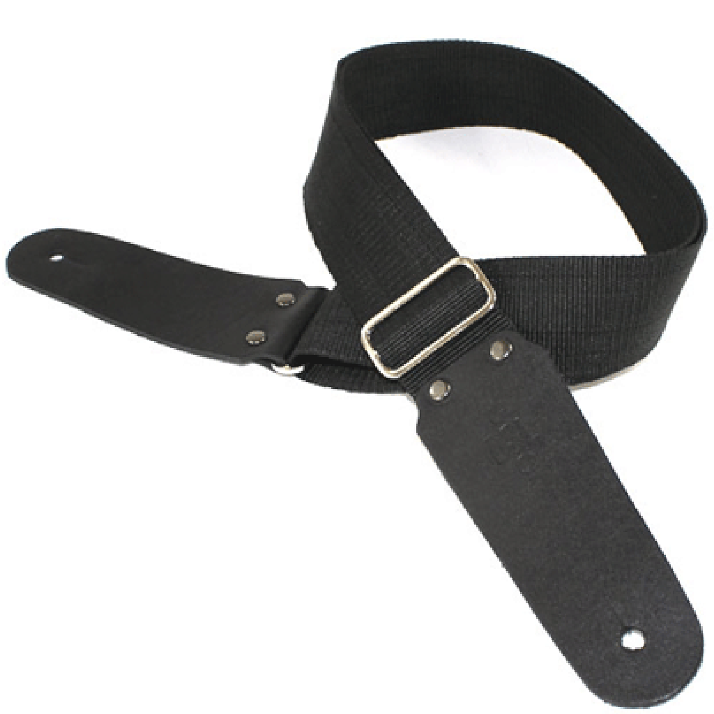 DSL 2" Straps Polypropylene Strap in Black