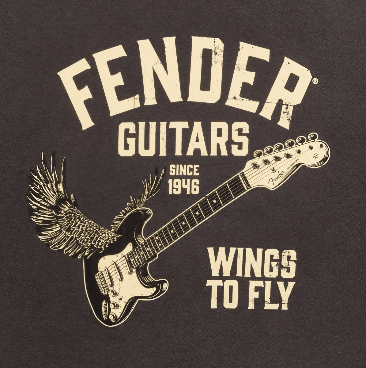 Fender Wings To Fly S Size T-Shirt in Vintage Black