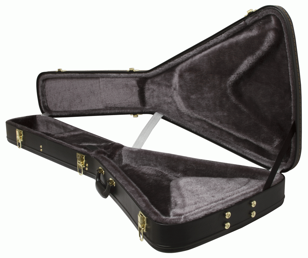 Epiphone Flying V Hard Case