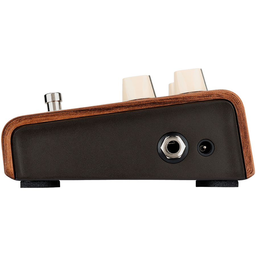 LR Baggs Align Reverb Acoustic Pedal