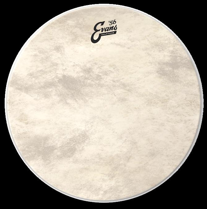 Evans Calftone 24" Bass Drum Head
