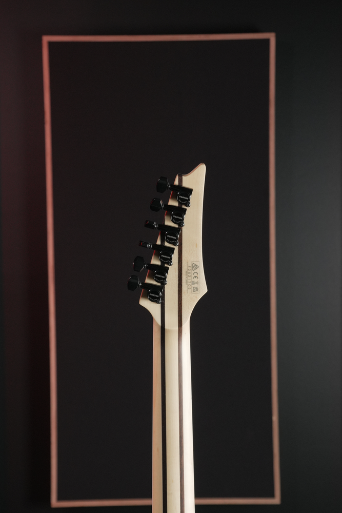 Ibanez RGR5121ET Prestige Australian Exclusive Electric Guitar in Black