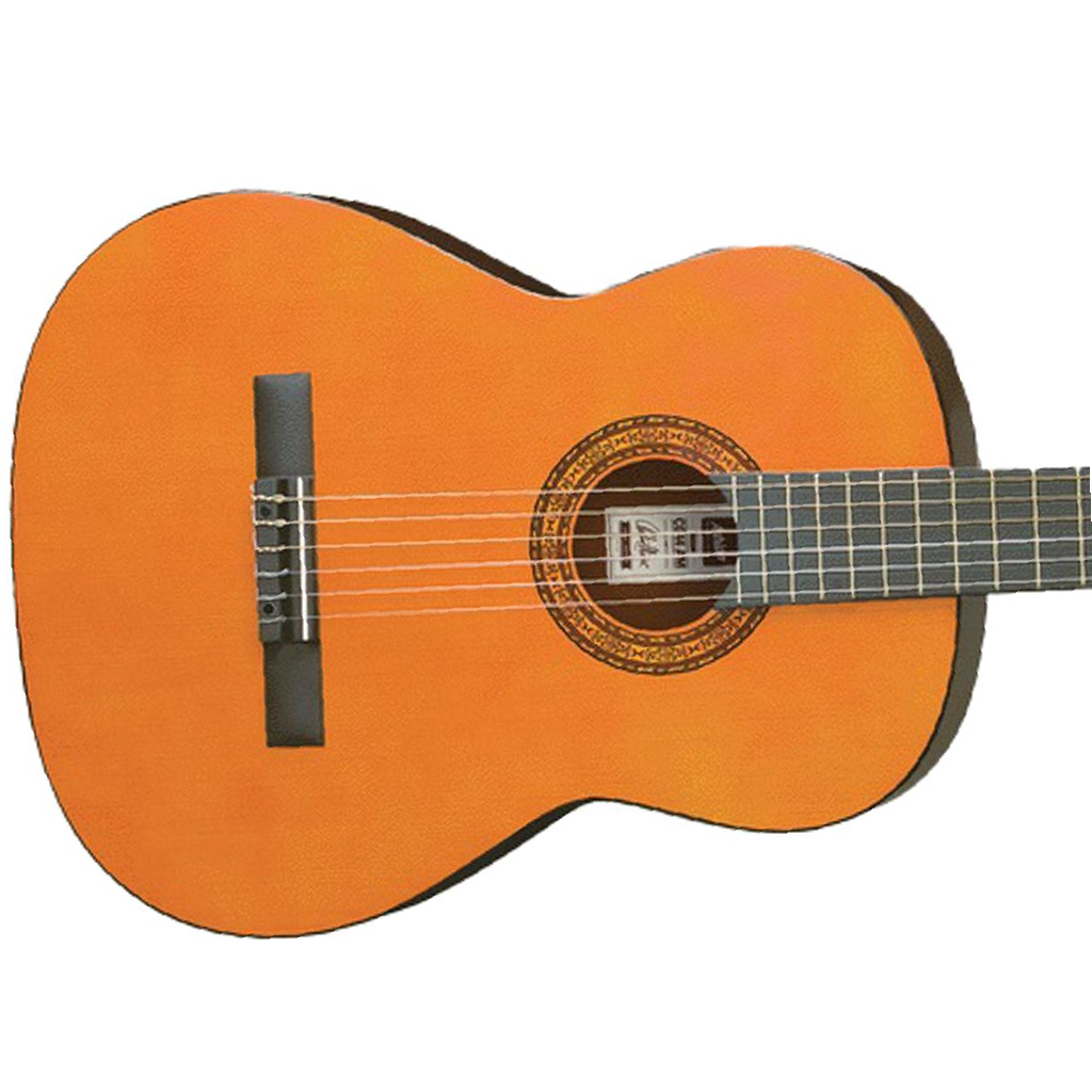 Ashton SPCG34 Starter Classical Guitar Pack in Amber