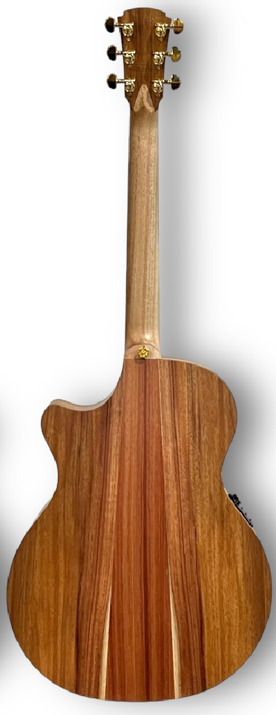 Cole Clark TL2EC-BLBL-HSS True Hybrid model with HSS configuration in Surf Green