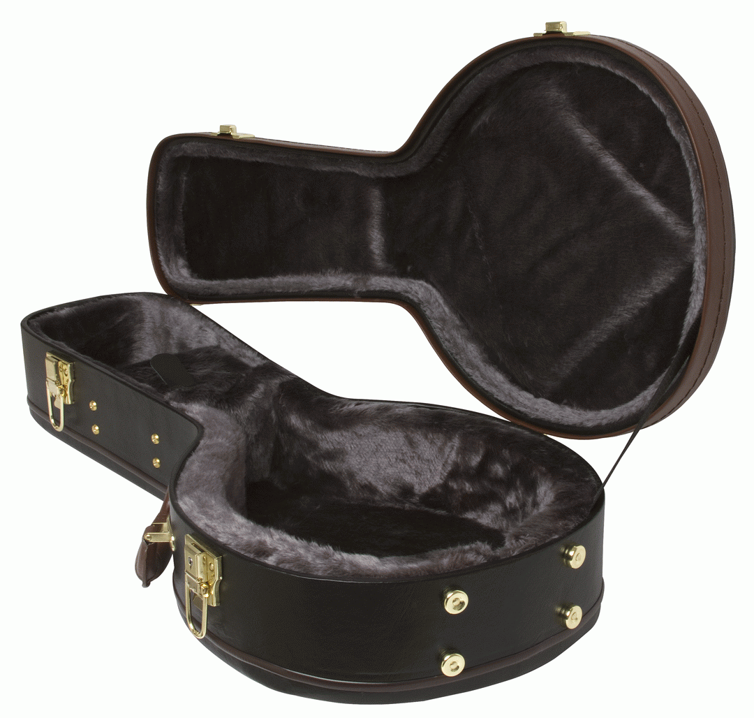 Epiphone A Style Mandolin Hard Case