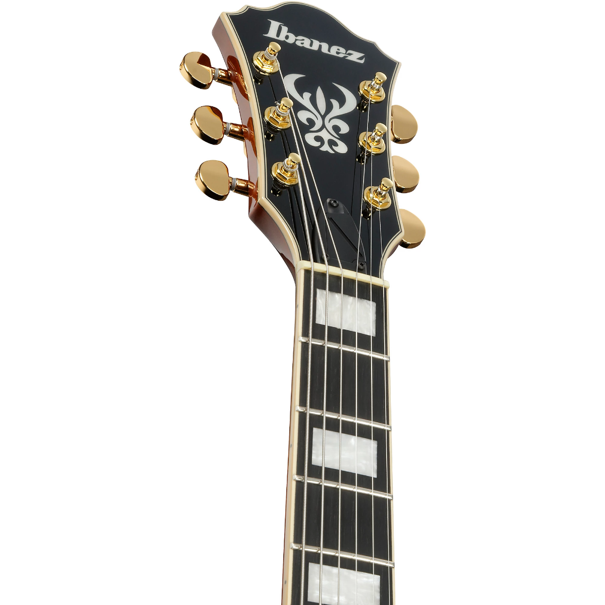 Ibanez AG95MG Electric Guitar in Dark Amber