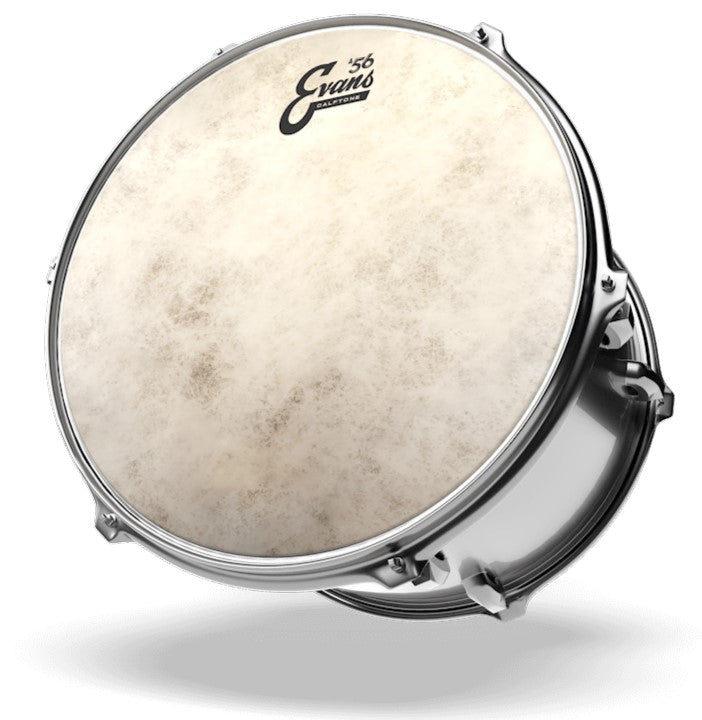 Evans Calftone 13" Tom Drum Head