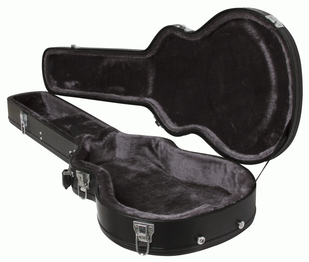 Epiphone Les Paul Hard Case