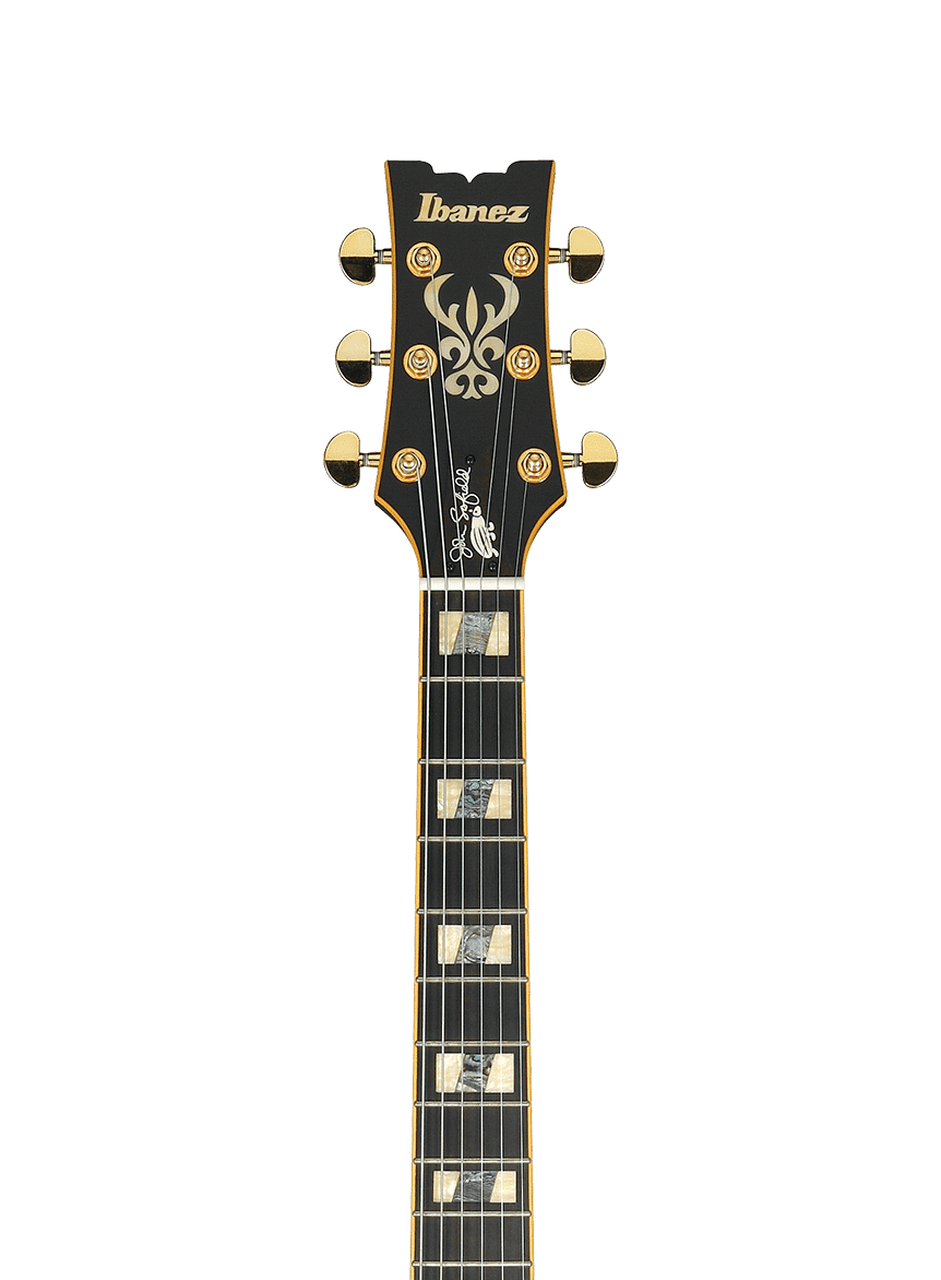 Ibanez JSM20 John Scofield Signature Hollowbody in Black Low Gloss