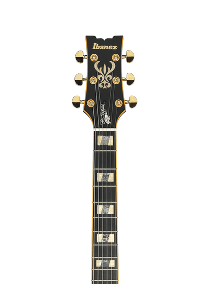 Ibanez JSM20 John Scofield Signature Hollowbody in Black Low Gloss