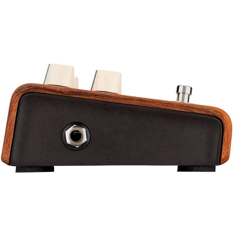 LR Baggs Align Reverb Acoustic Pedal