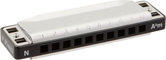 Lee Oskar Harmonica Natural Minor A FLAT