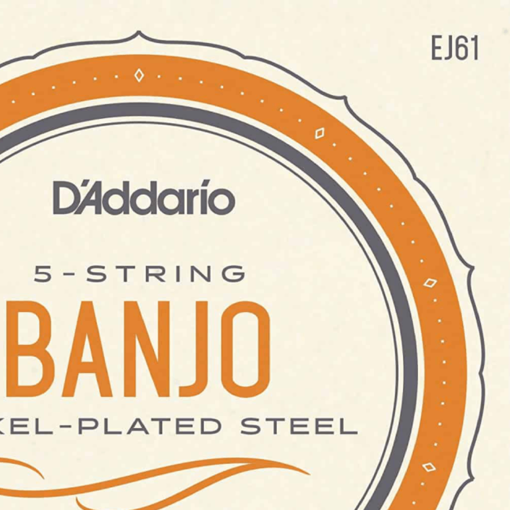 D'Addario EJ61 5 String Banjo Strings Nickel Medium 10-23