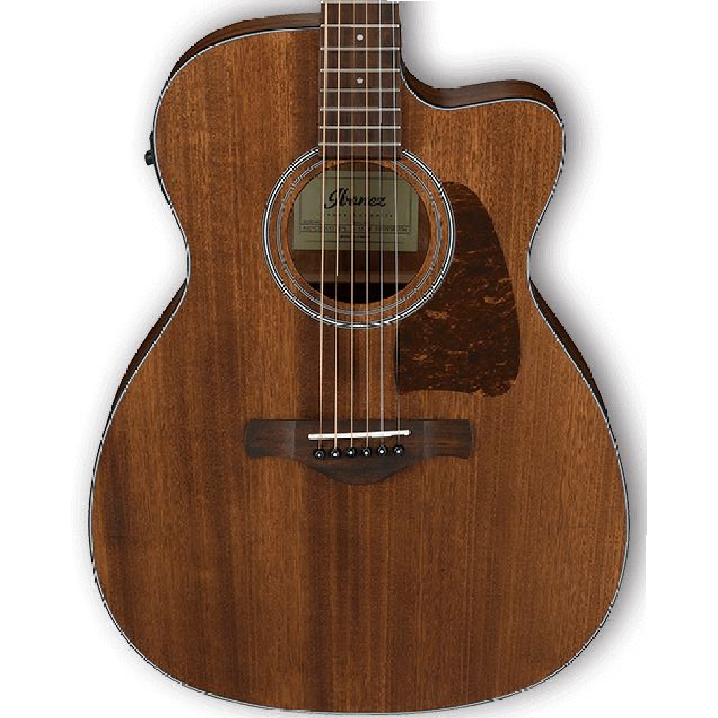 Ibanez AVC9CE Artwood Vintage Acoustic Guitar in Open Pore Natural