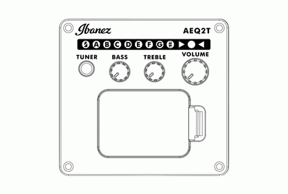 Ibanez AEGB24E Acoustic Bass in Black High Gloss