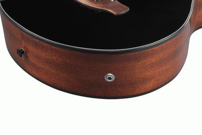 Ibanez AEGB24E Acoustic Bass in Black High Gloss