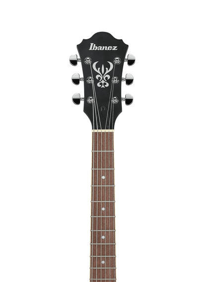 Ibanez AS53 in Transparent Black Flat