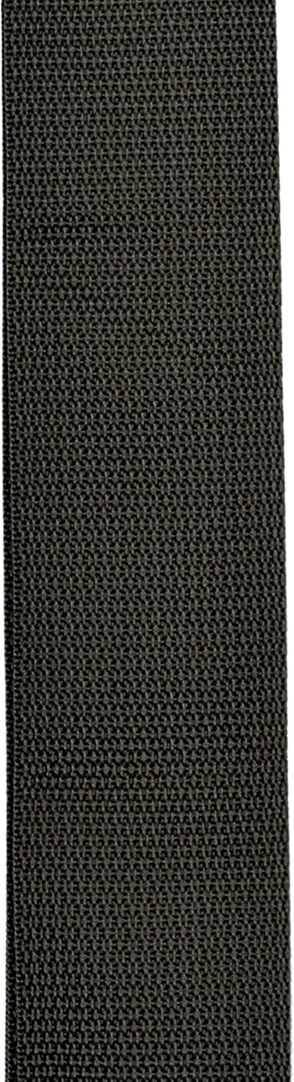 D'Addario Planet Waves 50MM 2" Planet Lock Polypropylene Guitar Strap in Black