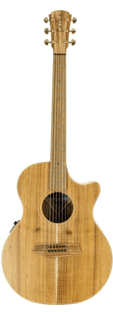 Cole Clark CCAN2EC BLBL  Blackwood Acoustic Electric Guitar