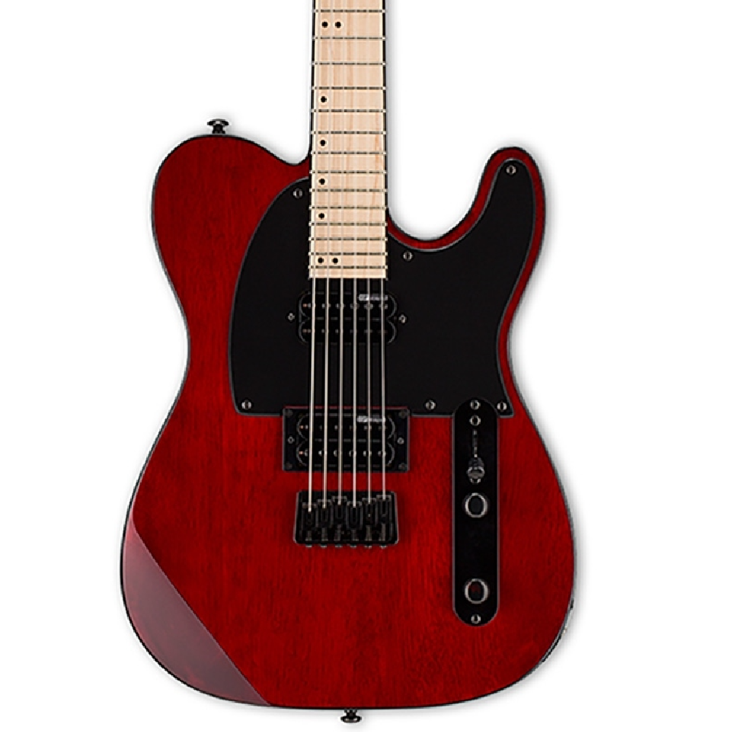 ESP LTD TE200 Electric Guitar in See Thru Black Cherry