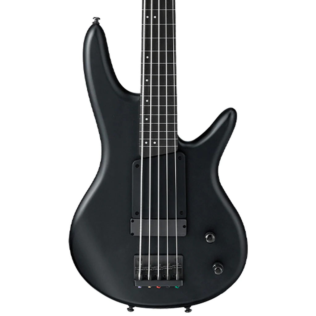 Ibanez GWB35 Gary Willis 5 String Signature Bass in Black Flat