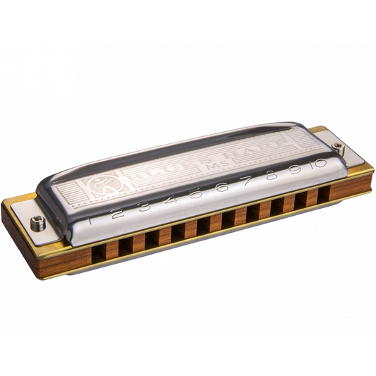 Hohner MS Series 10 Hole Blues Harp A