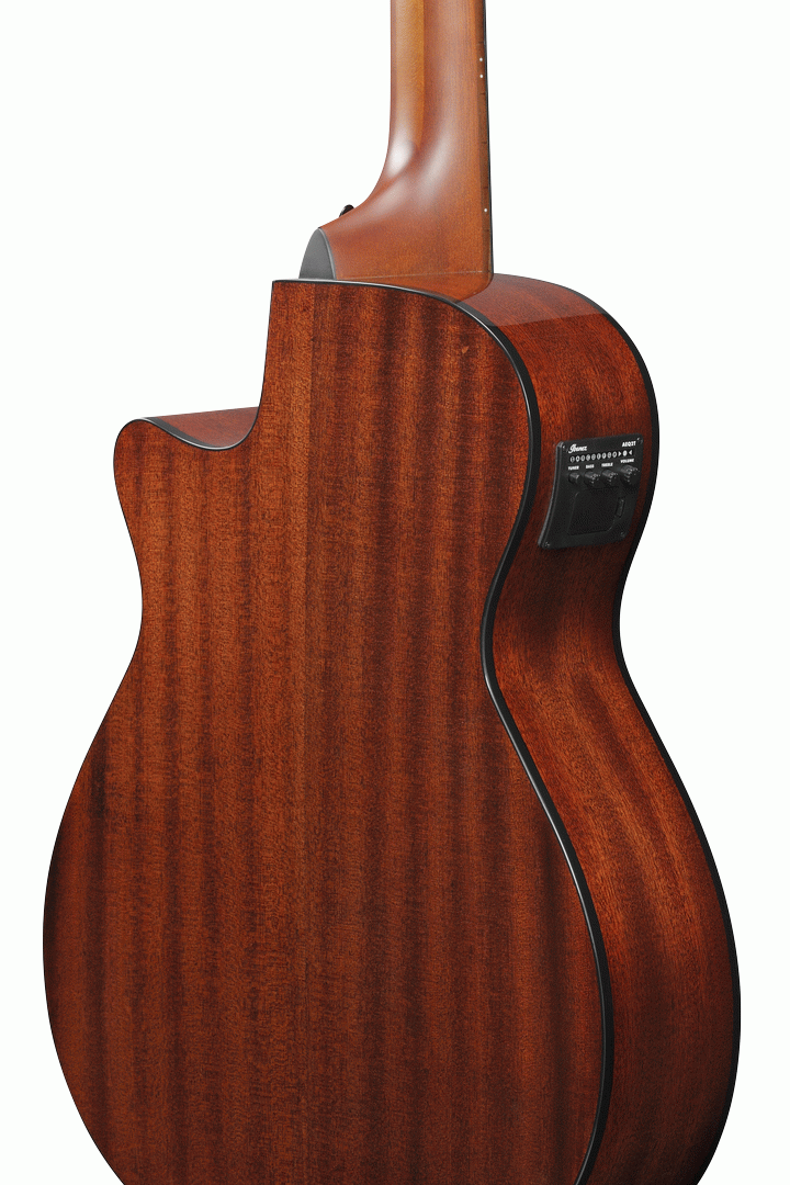 Ibanez AEGB24E Acoustic Bass in Black High Gloss