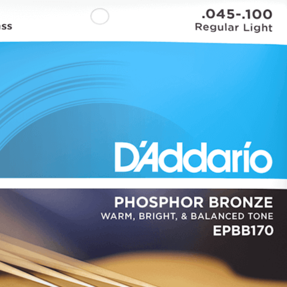D'Addario EPBB170 Regular Light Long Scale Acoustic Bass Strings 45-100 Gauge