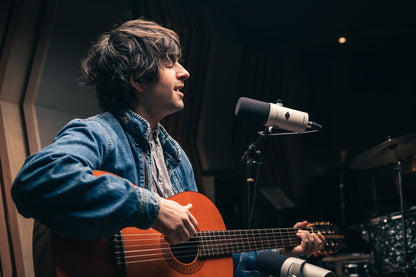 Universal Audio SD 1 Standard Dynamic Microphone