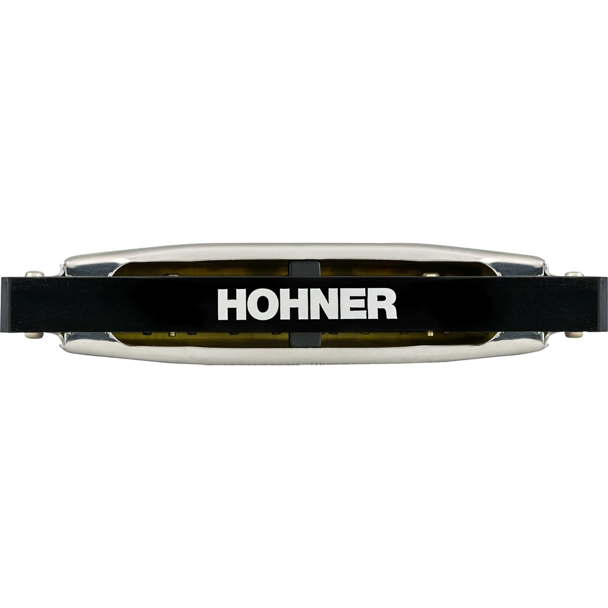 Hohner Silver Star 10 Hole Harmonica G