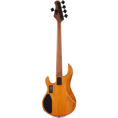 Sterling By Music Man StingRay Ray 35 HH in Amber Poplar Burl