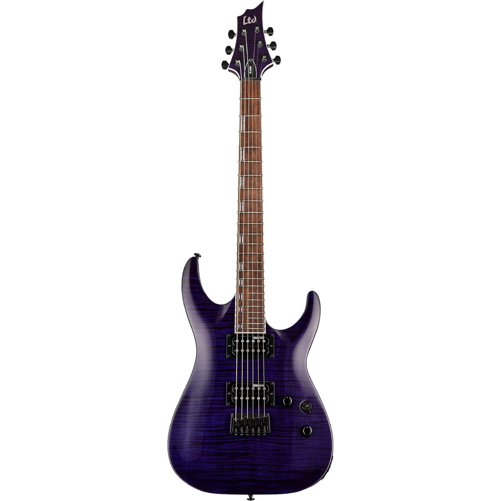 ESP LTD H 200FM  Electric Guitar in See Thru Purple