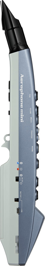 Roland AE01 Aerophone MINI