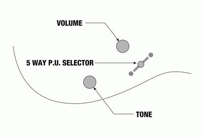 Ibanez RGR221PA Electric Guitar in Aqua Burst