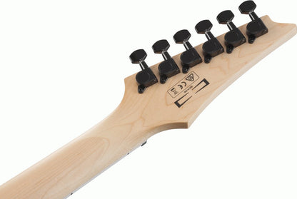 Ibanez RGR221PA Electric Guitar in Aqua Burst