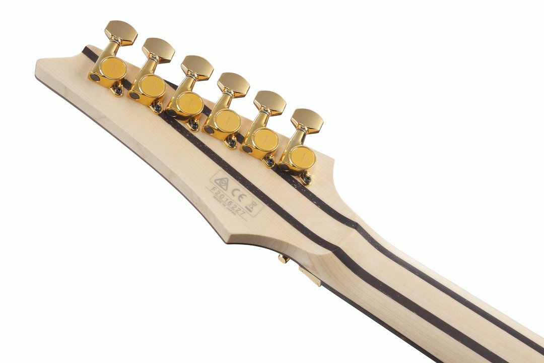 Ibanez RG5170B Prestige in Black