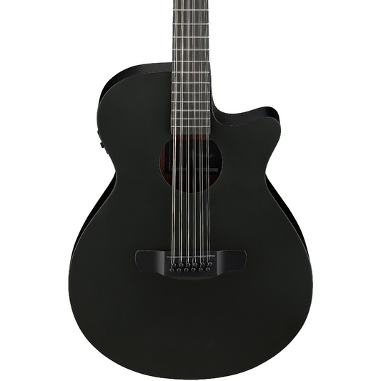 Ibanez AEG1221 12-String Acoustic Guitar in Black Out