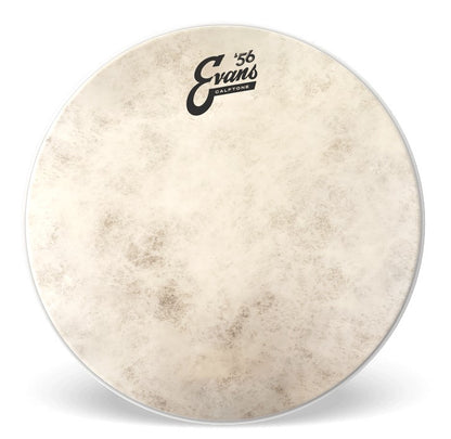 Evans Calftone 8" Tom Drum Head
