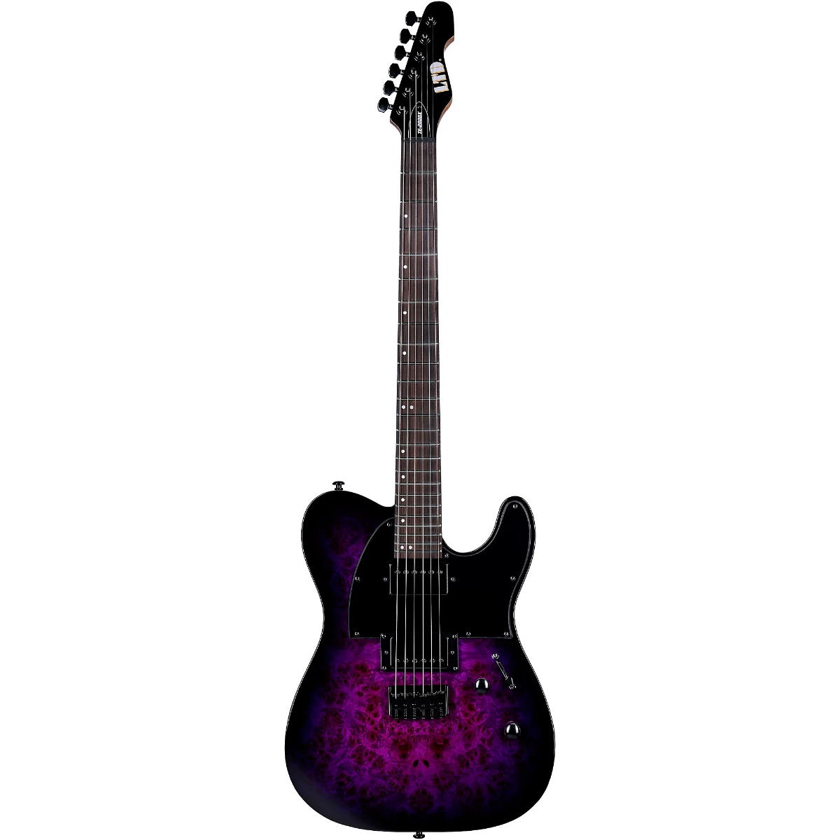 ESP LTD TE-200DX Electric Guitar in Purple Burst