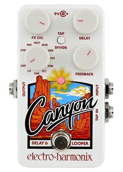 Electro Harmonix Canyon Delay and Looper Pedal