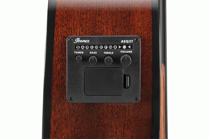 Ibanez AEGB24E Acoustic Bass in Black High Gloss