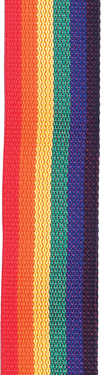 D'Addario Planet Waves 50MM 2" Polypro Polypropylene Guitar Strap in Rainbow