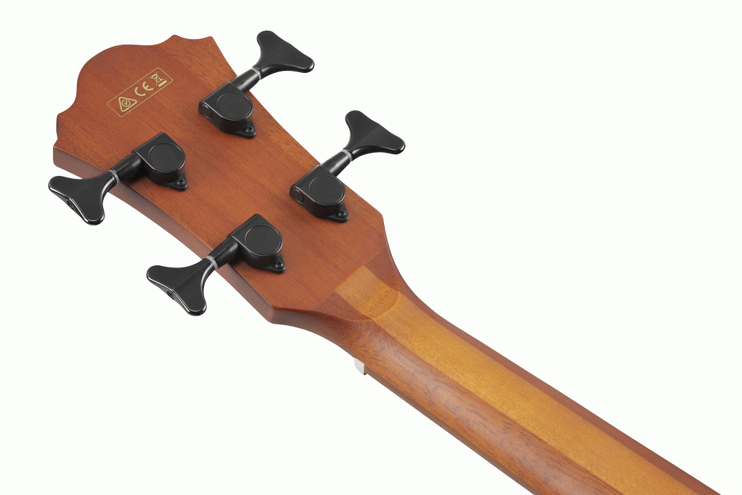 Ibanez AEGB24E Acoustic Bass in Black High Gloss