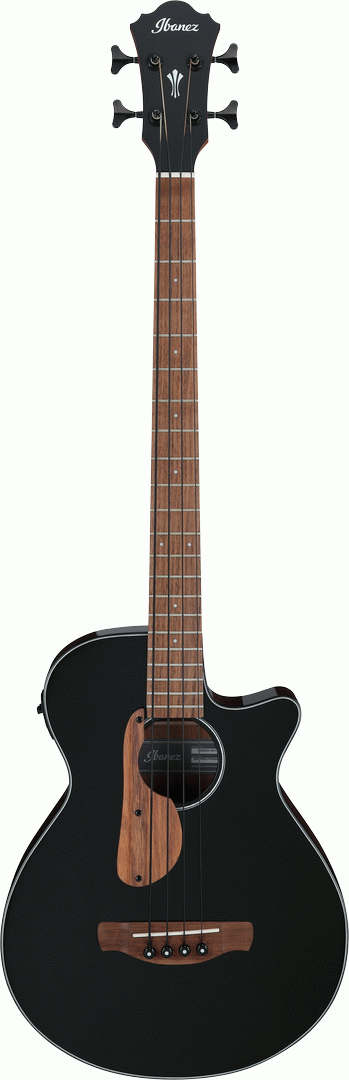 Ibanez AEGB24E Acoustic Bass in Black High Gloss