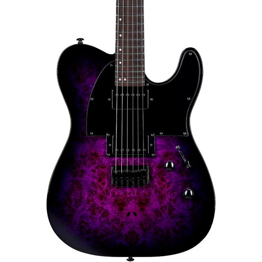 ESP LTD TE-200DX Electric Guitar in Purple Burst