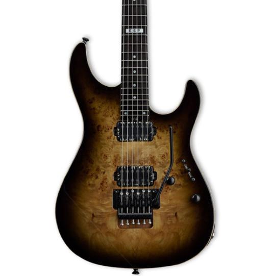 ESP E II SN II in Nebula Black Burst
