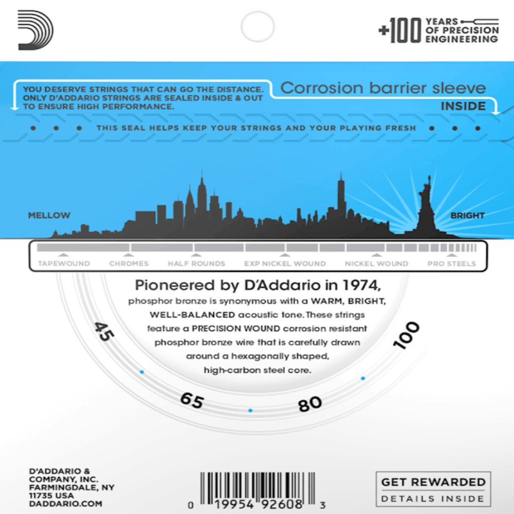 D'Addario EPBB170 Regular Light Long Scale Acoustic Bass Strings 45-100 Gauge
